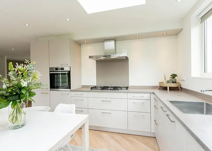 Noorderlicht On Texel With Large Garden * De Cocksdorp (Texel)